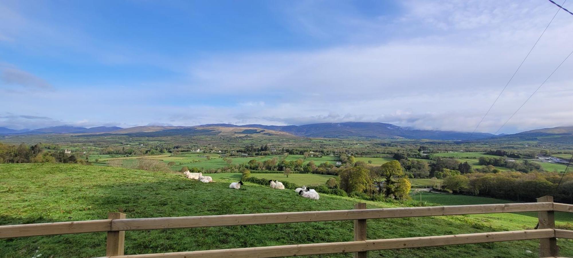 Country Suite - Spectacular Views Kilgarvan المظهر الخارجي الصورة
